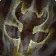 http://wow.zamimg.com/images/wow/icons/large/spell_shaman_totemrecall.jpg