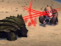 petbattles.jpg