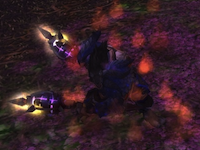 warriorstory.png