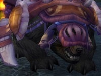 bearyo.jpg
