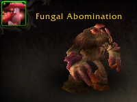 dfungal.png