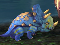 petstory.png