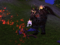 battlepet.png