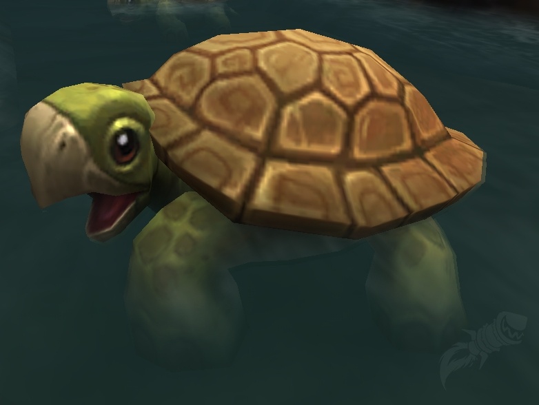 Dalaran Sewer Turtle Npc World Of Warcraft