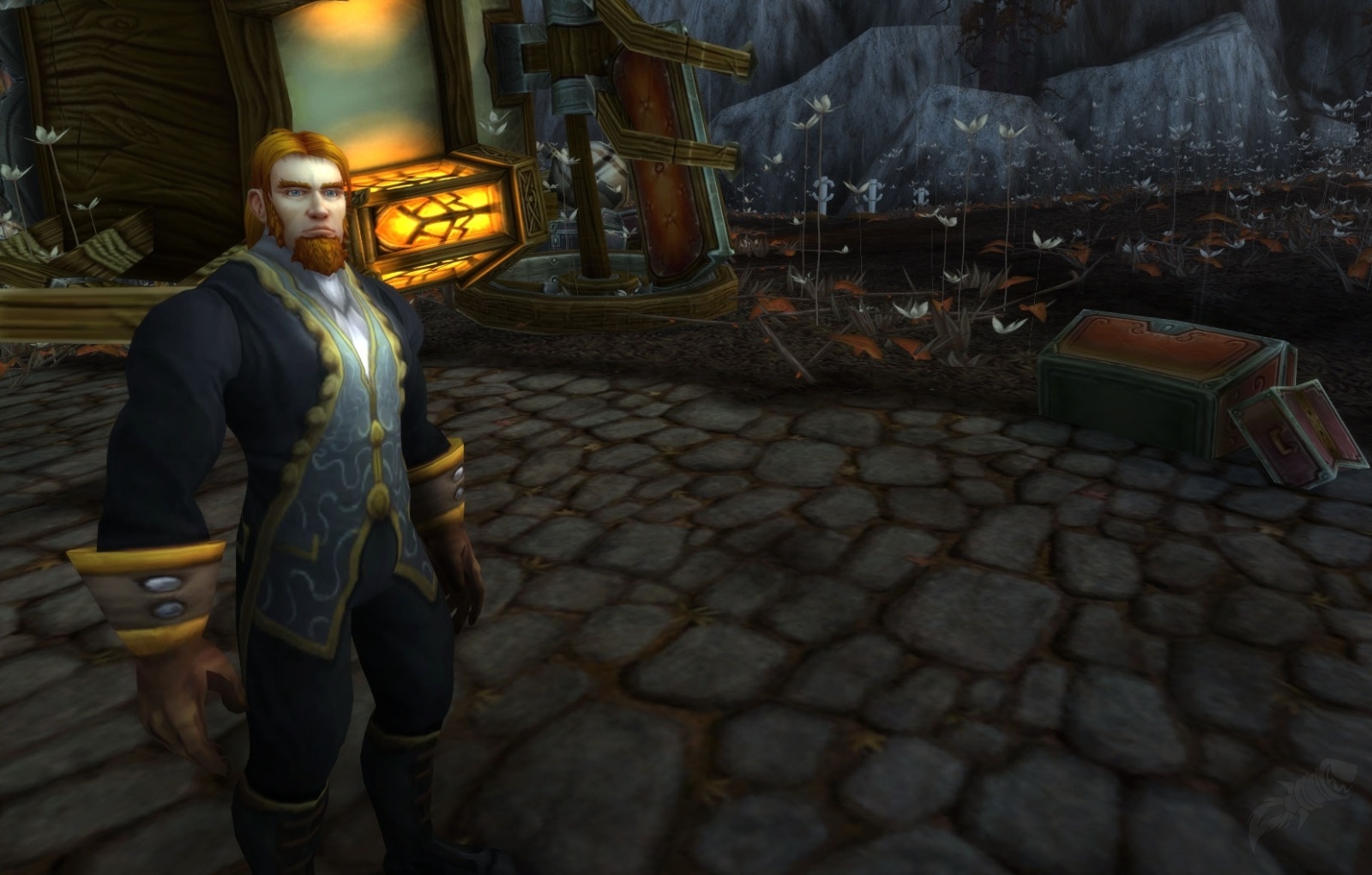 Prinz Liam Graumähne NPC World of Warcraft