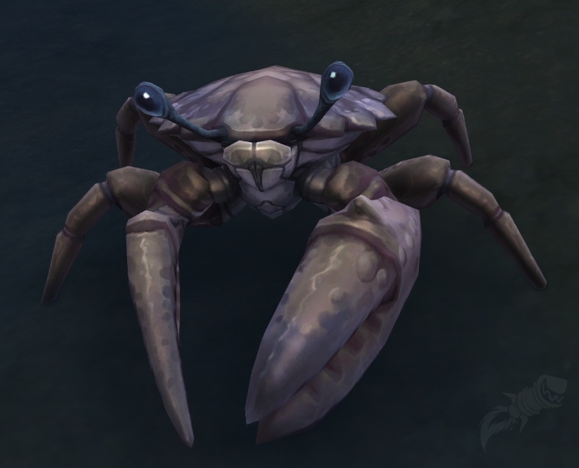 Weathered Crab NPC World Of Warcraft