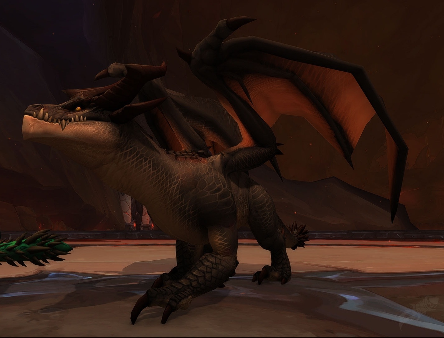 Schwarzer Drache NPC World Of Warcraft