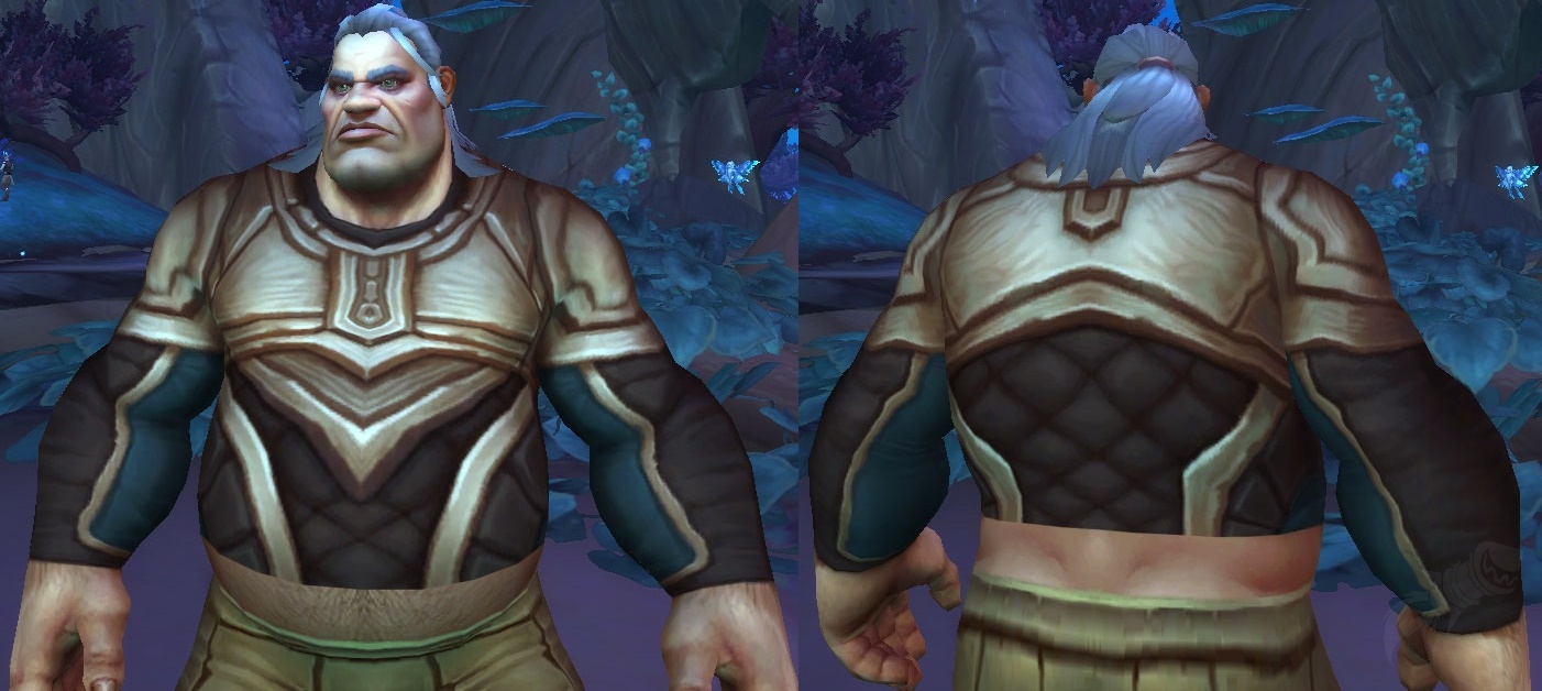 Grove Warden S Breastplate Item World Of Warcraft