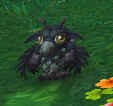 Ignited Moonkin Hatchling NPC World Of Warcraft