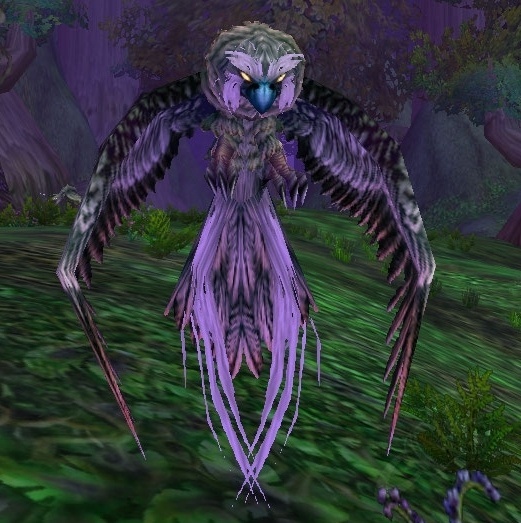 Ave Rapaz Mascota De Cazador World Of Warcraft