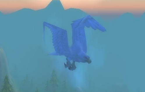 flight druid form northrend