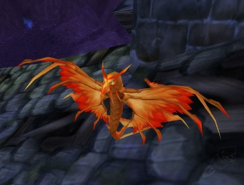 Golden Dragonhawk Hatchling Item Cataclysm Classic