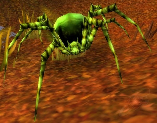 Filhote De Aranha De Fundolimo Pnj World Of Warcraft