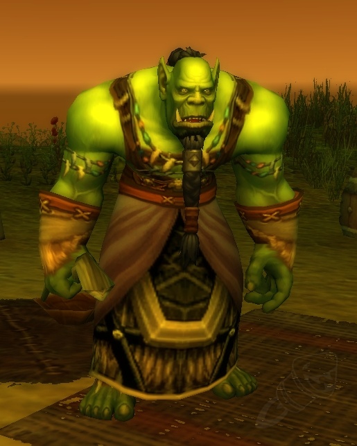 Schamane Von Steinard NPC World Of Warcraft