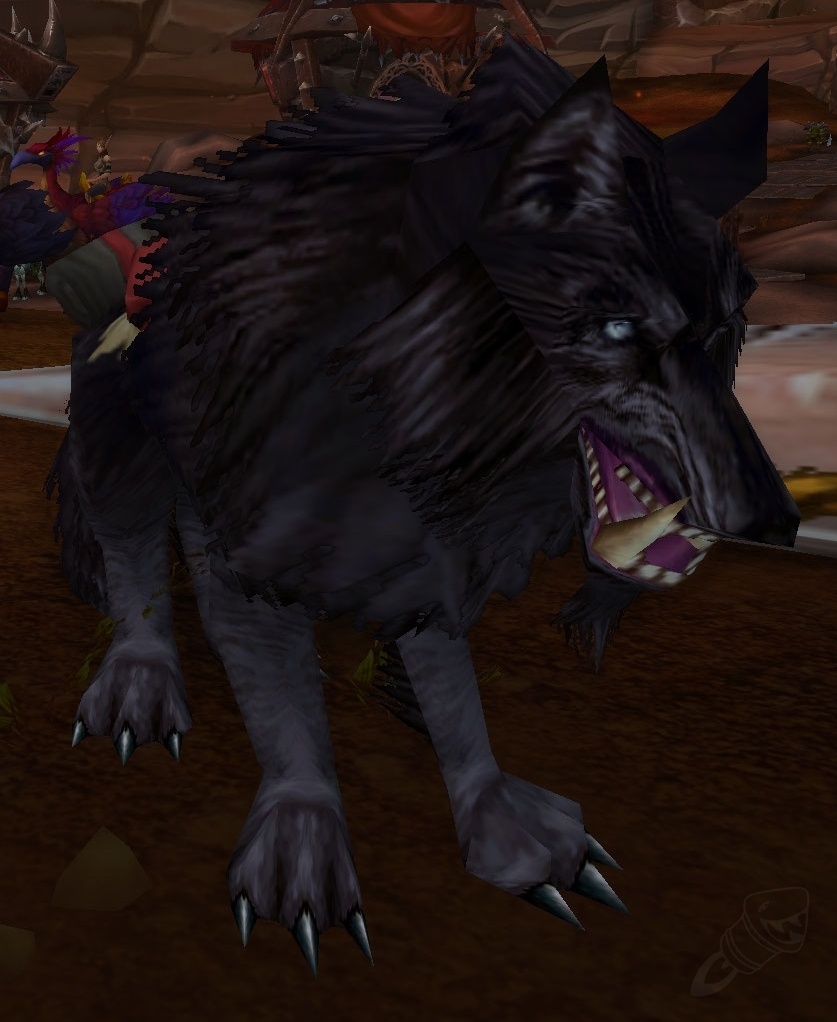 Loup Noir Pnj World Of Warcraft