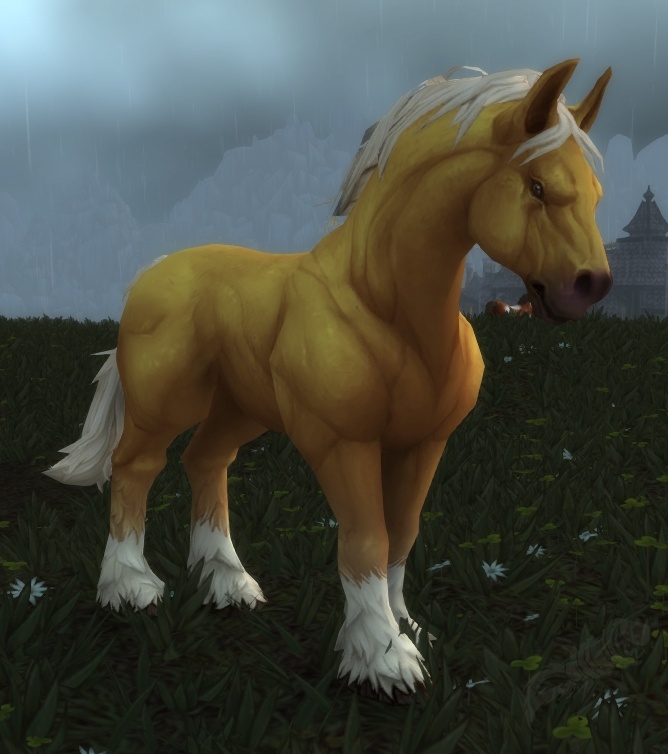 Cavallo Selvaggio Png World Of Warcraft