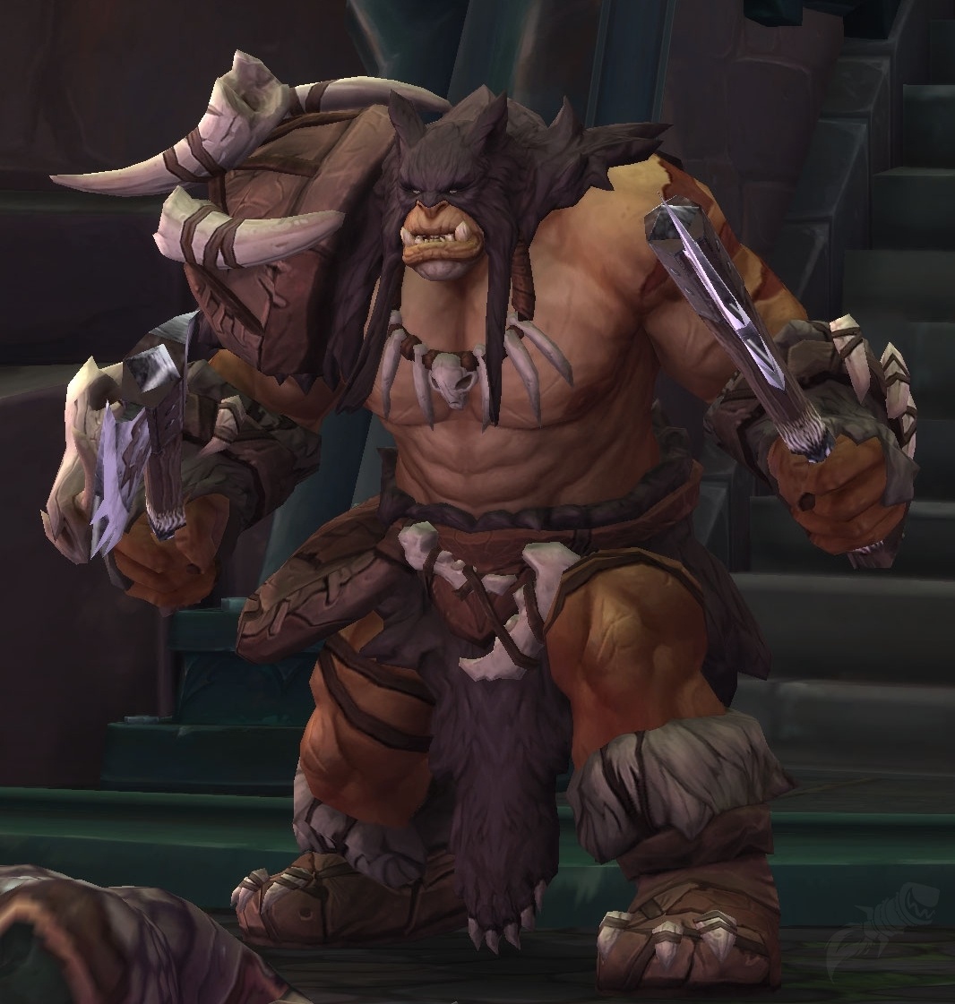 Rexxar NPC World Of Warcraft