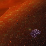 244803.jpg