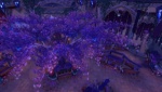 suramar interiors