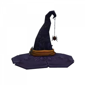 Chapeau de sorcière arachnéen