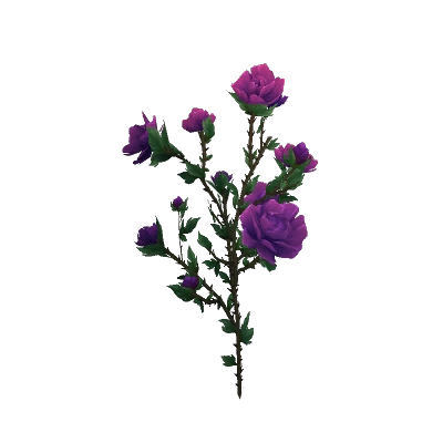 Gloomcore Roses Gloomrose - Decor - World of Warcraft