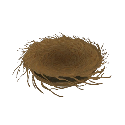 Cozy Bird Nest