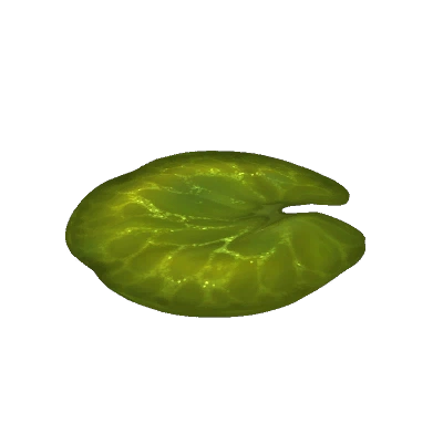 Cozy Lightbloom Lilypad
