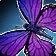 inv_pet_butterfly_purple.jpg