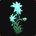 Fleur de floraison spirituelle