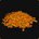 Tas de feuilles d’automne