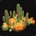 Grand massif de cactus de Tranchevent