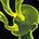 Spirit-Rending Poison icon