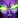 IMAGE_SPELLID