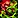 IMAGE_SPELLID