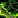 IMAGE_SPELLID