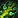 IMAGE_SPELLID