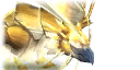 Lu'ashal