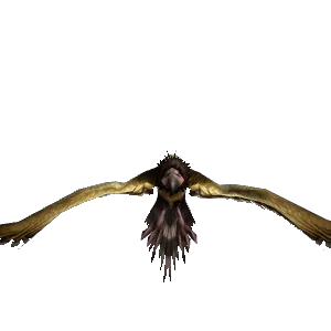 [PH] Named Condor Shirrak - NPC - Cataclysm Classic