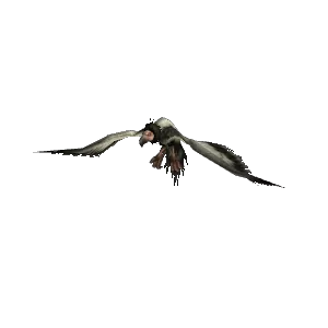 Arctic Condor (Northrend) - NPC - Cataclysm Classic