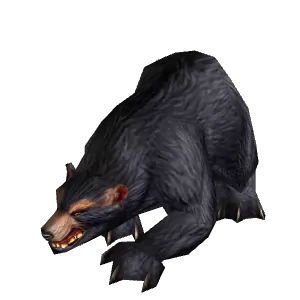 Black Bear - NPC - Cataclysm Classic