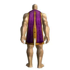 High Councillor's Cloak