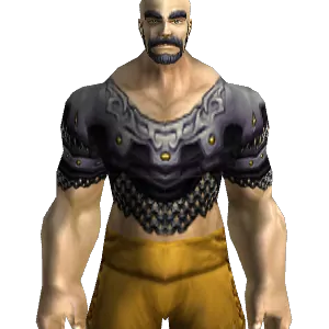 Double Link Tunic