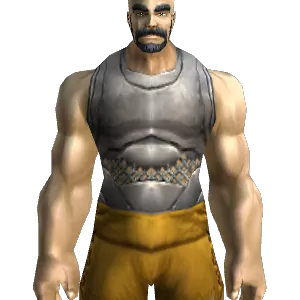 Steel Breastplate