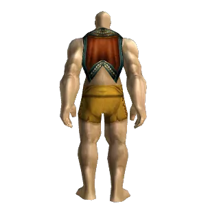 Charger's Cloak
