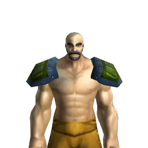 Darkshire Shoulderguards