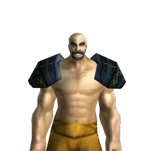 Ebonhold Shoulderpads
