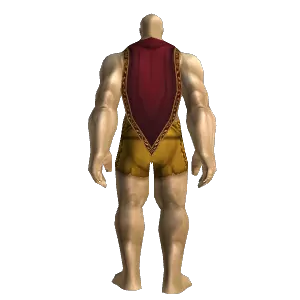 Seasoned Fighter's Cloak