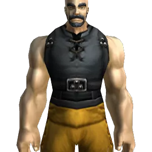 Stone Guard's Dreadweave Vest