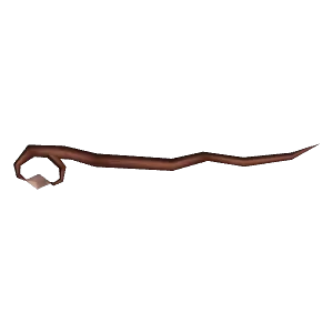 Living Root