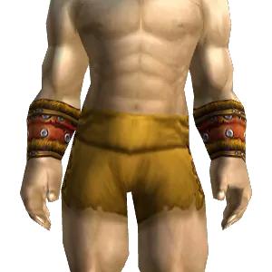 Arena Bracers
